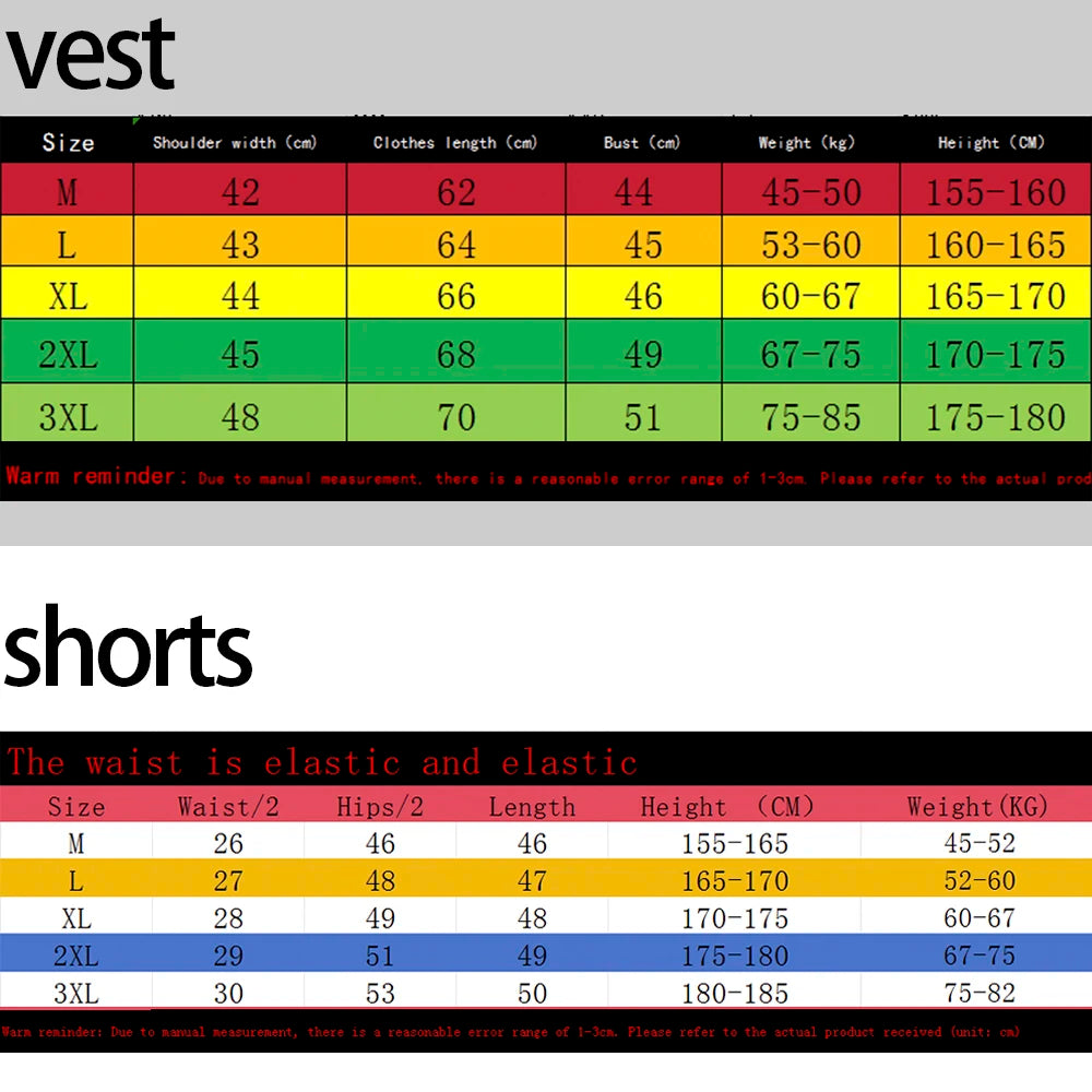 Men's Tank Top Sets 2026 Summer Quick drying running oversize sports  seaside jogging suit beach 2 piece set Breathable