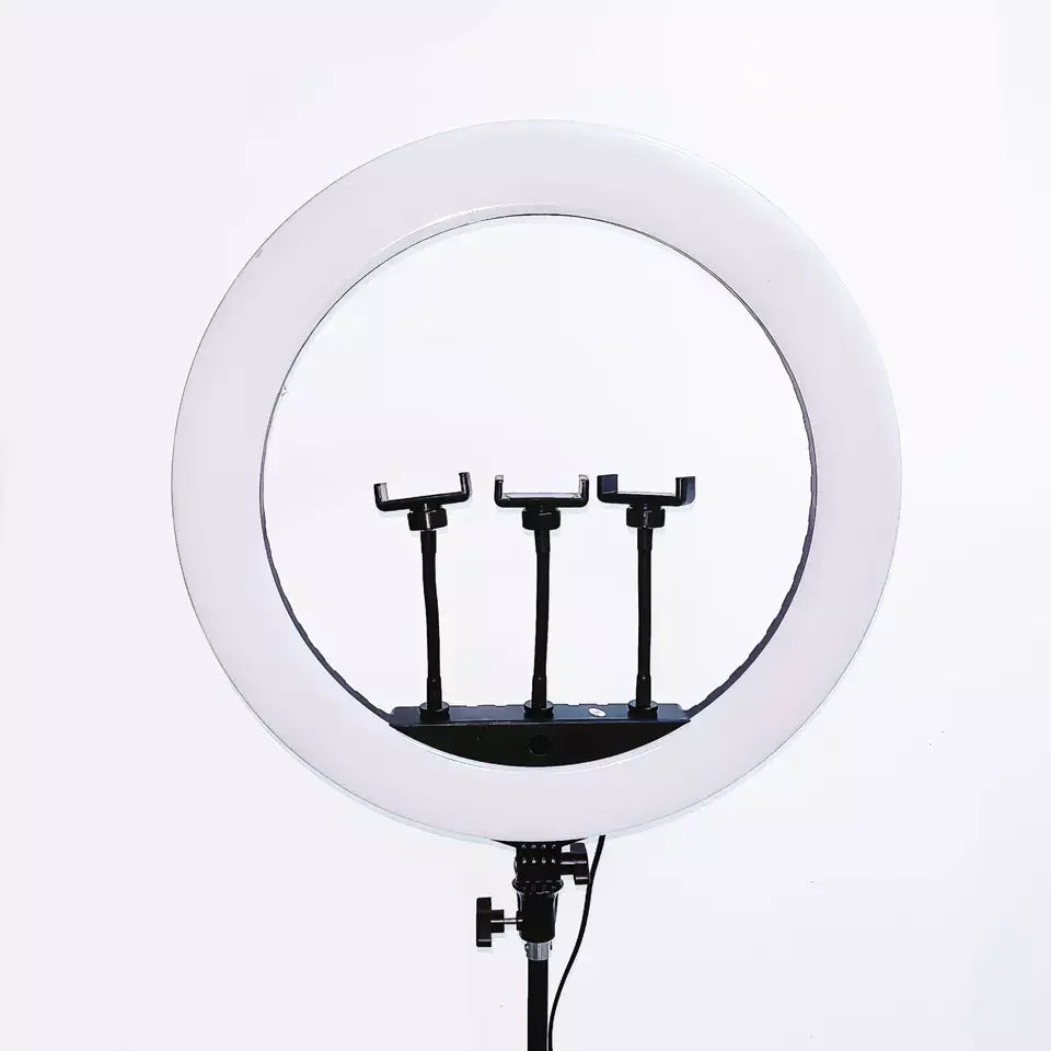 HQ-21N Photographic Lighting Set 52cm LED Dimmable Lamp Phone Camera Holder LED Ring Light 21 Inch with Tripod Stand 5 - 499